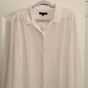 Banana Republic Sheer LS Blouse